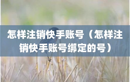 怎样注销快手账号（怎样注销快手账号绑定的号）
