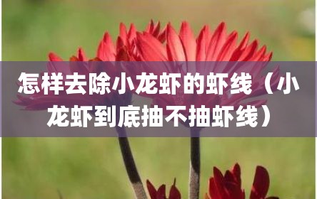 怎样去除小龙虾的虾线（小龙虾到底抽不抽虾线）