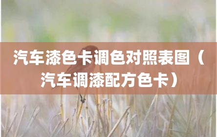 汽车漆色卡调色对照表图（汽车调漆配方色卡）