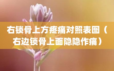 右锁骨上方疼痛对照表图（右边锁骨上面隐隐作痛）