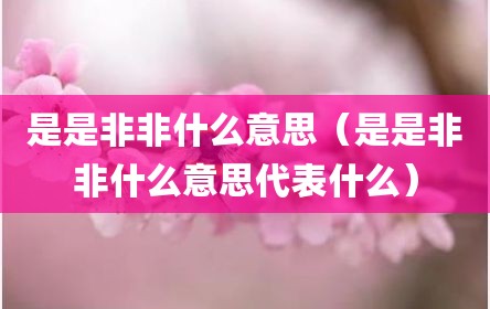 是是非非什么意思（是是非非什么意思代表什么）