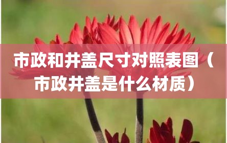 市政和井盖尺寸对照表图（市政井盖是什么材质）