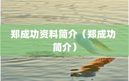 郑成功资料简介（郑成功 简介）