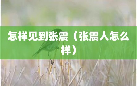 怎样见到张震（张震人怎么样）