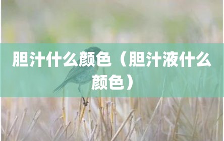 胆汁什么颜色（胆汁液什么颜色）