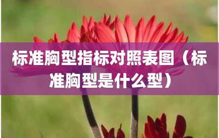 标准胸型指标对照表图（标准胸型是什么型）