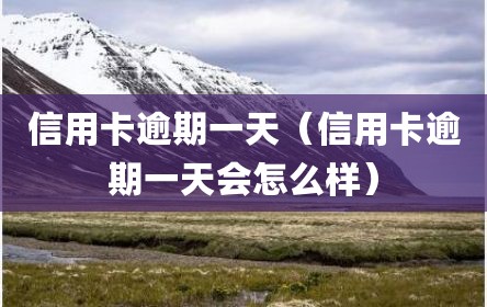 信用卡逾期一天（信用卡逾期一天会怎么样）