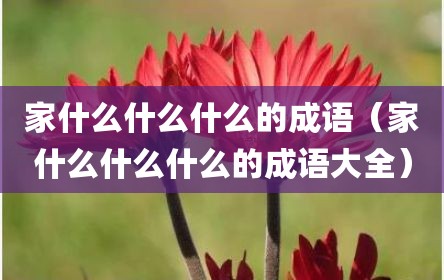 家什么什么什么的成语（家什么什么什么的成语大全）