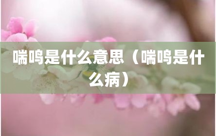 喘鸣是什么意思（喘鸣是什么病）