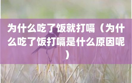 为什么吃了饭就打嗝（为什么吃了饭打嗝是什么原因呢）