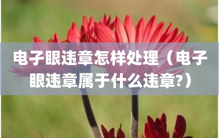电孑眼违章怎样处理（电子眼违章属于什么违章?）