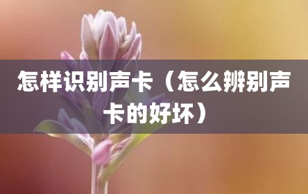 怎样识别声卡（怎么辨别声卡的好坏）