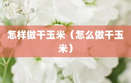 怎样做干玉米（怎么做干玉米）