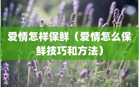 爱情怎样保鲜（爱情怎么保鲜技巧和方法）