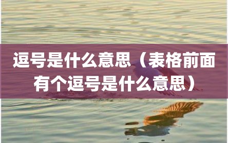 逗号是什么意思（表格前面有个逗号是什么意思）
