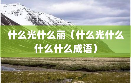 什么光什么丽（什么光什么什么什么成语）