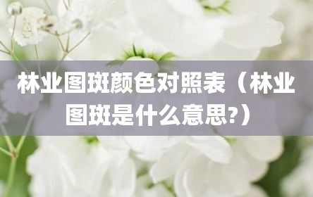 林业图斑颜色对照表（林业图斑是什么意思?）