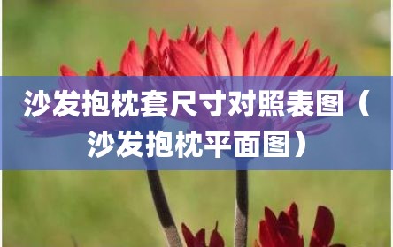 沙发抱枕套尺寸对照表图（沙发抱枕平面图）