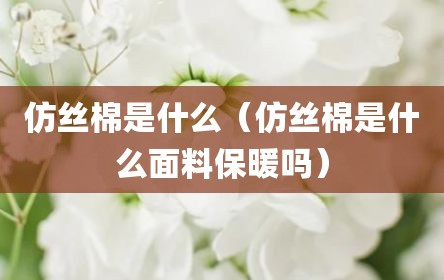 仿丝棉是什么（仿丝棉是什么面料保暖吗）