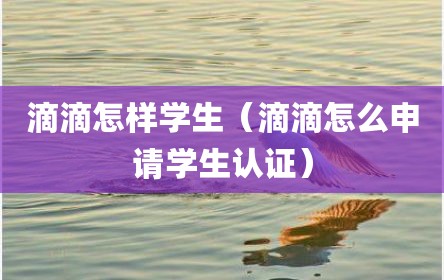 滴滴怎样学生（滴滴怎么申请学生认证）