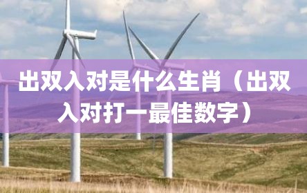 出双入对是什么生肖（出双入对打一最佳数字）