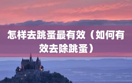 怎样去跳蚤最有效（如何有效去除跳蚤）