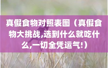真假食物对照表图（真假食物大挑战,选到什么就吃什么,一切全凭运气!）