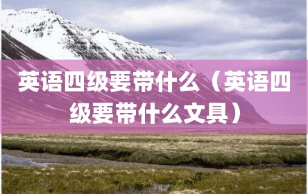 英语四级要带什么（英语四级要带什么文具）