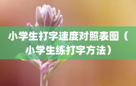小学生打字速度对照表图（小学生练打字方法）