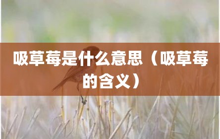 吸草莓是什么意思（吸草莓的含义）