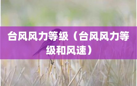 台风风力等级（台风风力等级和风速）