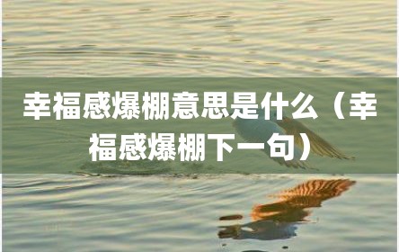 幸福感爆棚意思是什么（幸福感爆棚下一句）