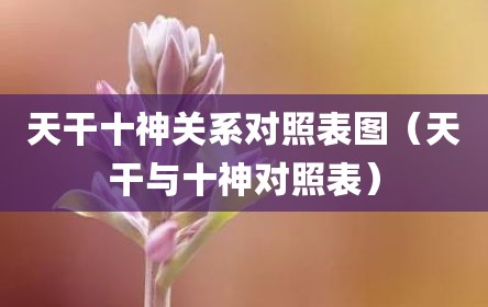 天干十神关系对照表图（天干与十神对照表）