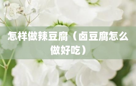 怎样做辣豆腐（卤豆腐怎么做好吃）