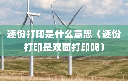 逐份打印是什么意思（逐份打印是双面打印吗）