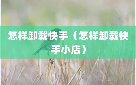 怎样卸载快手（怎样卸载快手小店）