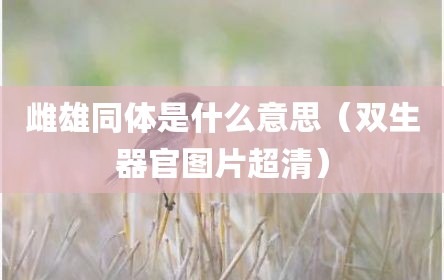 雌雄同体是什么意思（双生器官图片超清）