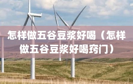 怎样做五谷豆浆好喝（怎样做五谷豆浆好喝窍门）