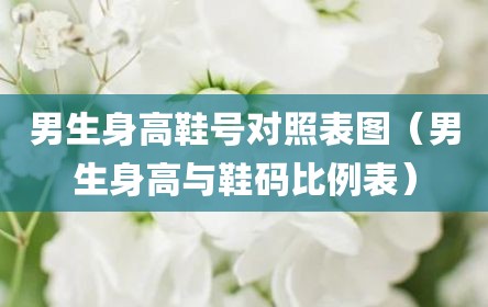 男生身高鞋号对照表图（男生身高与鞋码比例表）