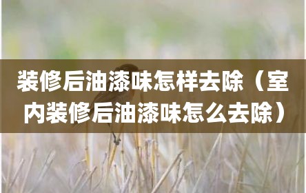 装修后油漆味怎样去除（室内装修后油漆味怎么去除）