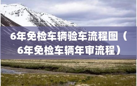 6年免检车辆验车流程图（6年免检车辆年审流程）