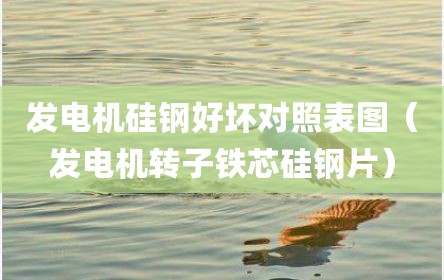 发电机硅钢好坏对照表图（发电机转子铁芯硅钢片）