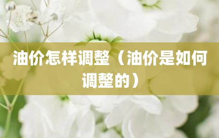 油价怎样调整（油价是如何调整的）