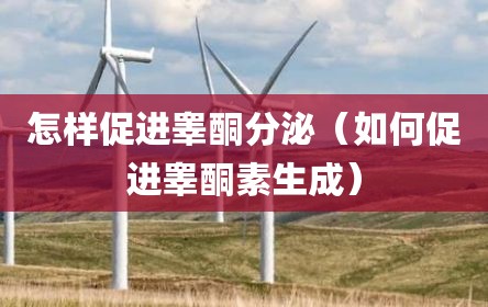 怎样促进睾酮分泌（如何促进睾酮素生成）
