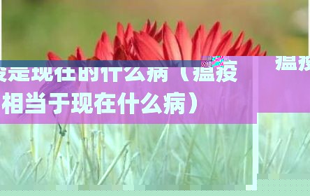 瘟疫是现在的什么病（瘟疫相当于现在什么病）