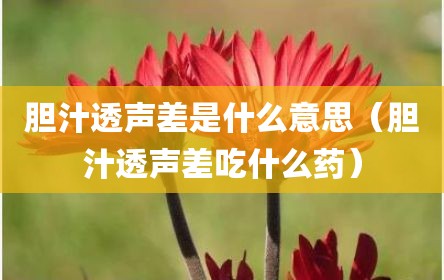 胆汁透声差是什么意思（胆汁透声差吃什么药）