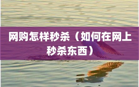 网购怎样秒杀（如何在网上秒杀东西）
