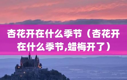 杏花开在什么季节（杏花开在什么季节,蜡梅开了）