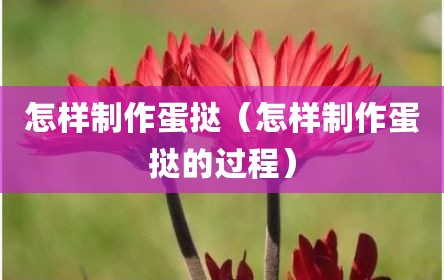 怎样制作蛋挞（怎样制作蛋挞的过程）