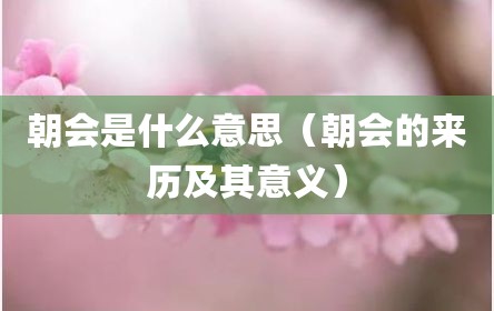 朝会是什么意思（朝会的来历及其意义）